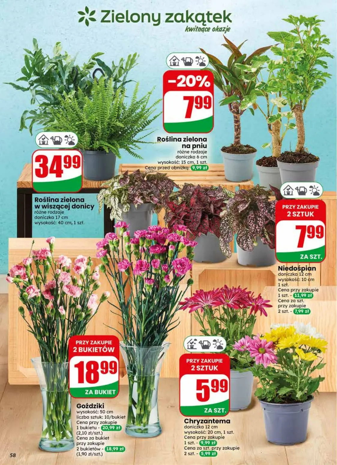 gazetka promocyjna dino Najbliżej Ciebie - Strona 58