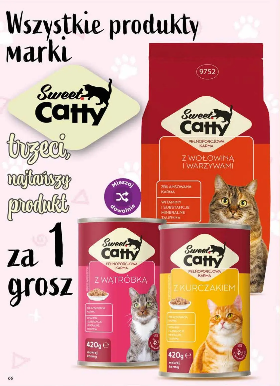 gazetka promocyjna dino Najbliżej Ciebie - Strona 66
