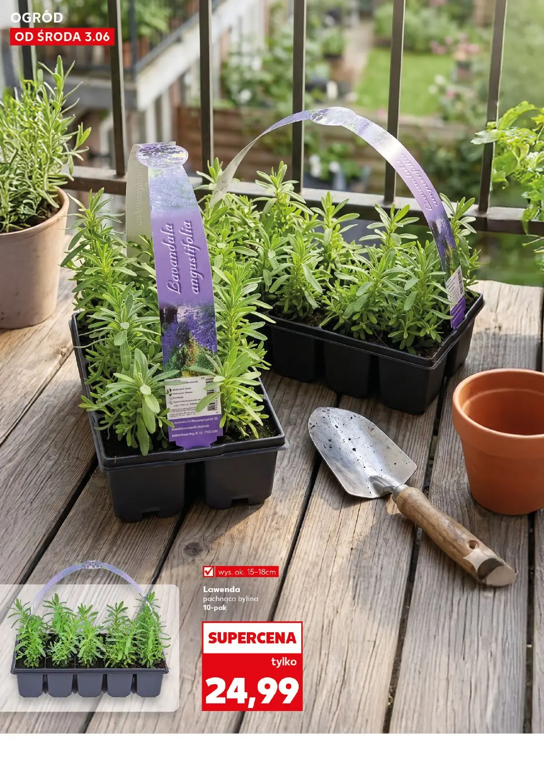 gazetka promocyjna Kaufland Wiosenne Inspiracje - Strona 10