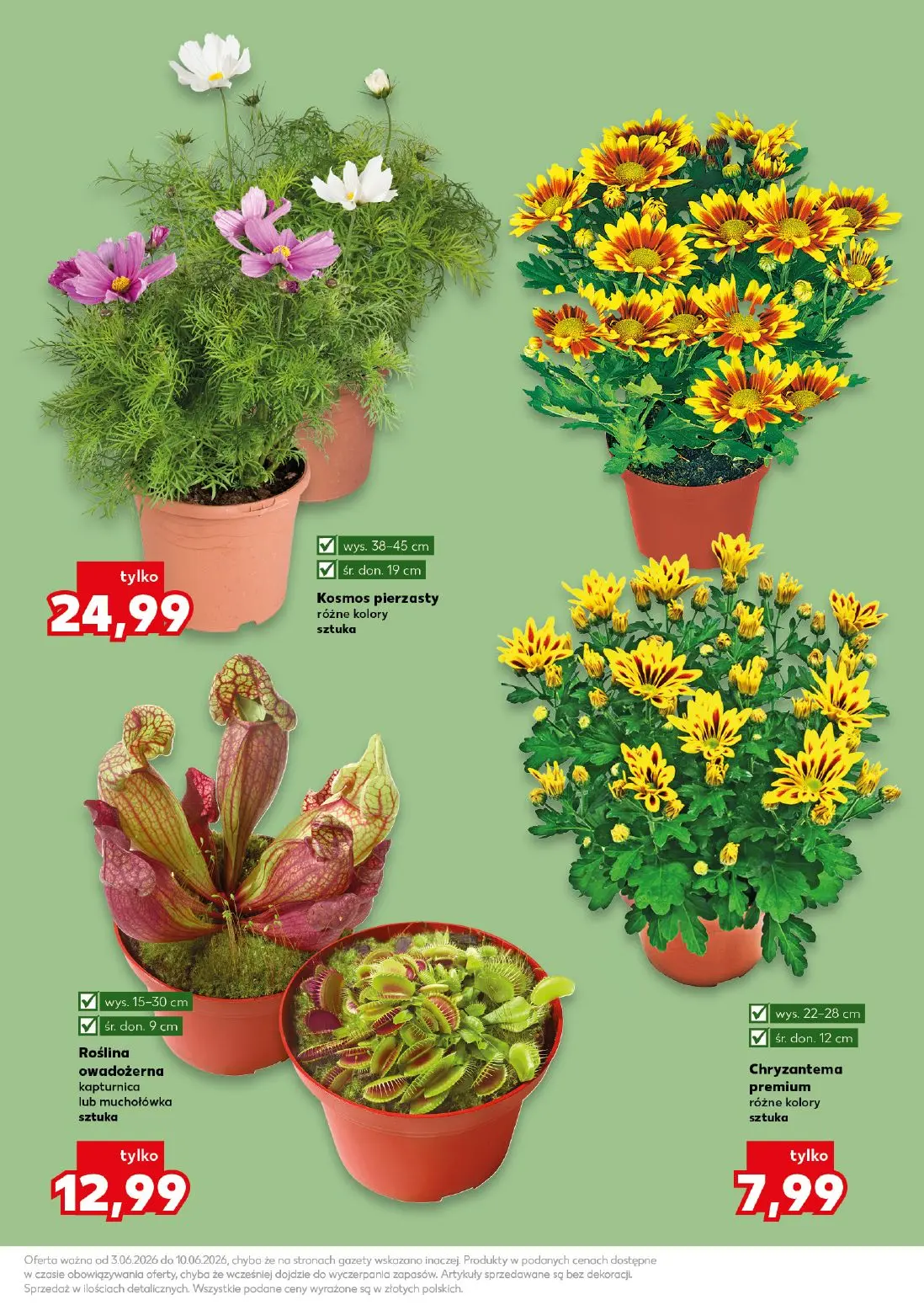 gazetka promocyjna Kaufland Wiosenne Inspiracje - Strona 11