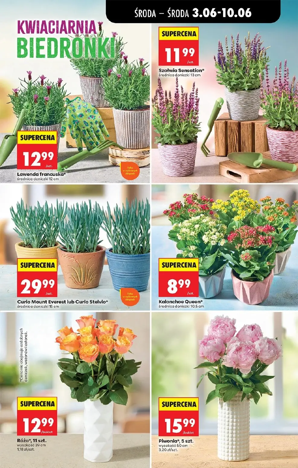 gazetka promocyjna Biedronka Od środy - Strona 69