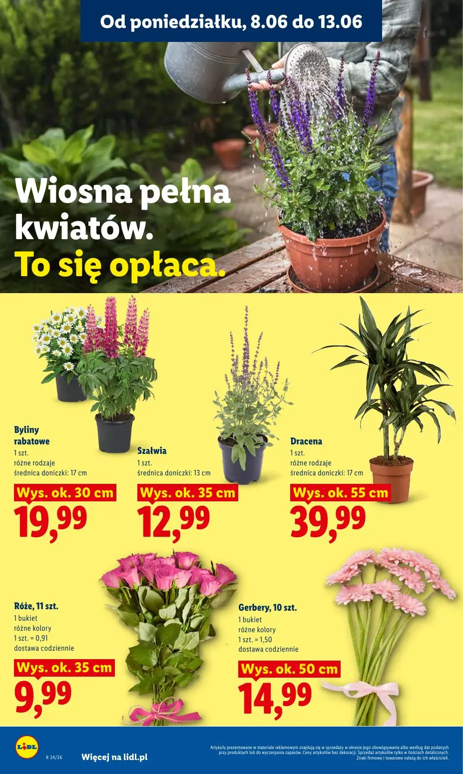 gazetka promocyjna LIDL Od poniedziałku - Strona 82