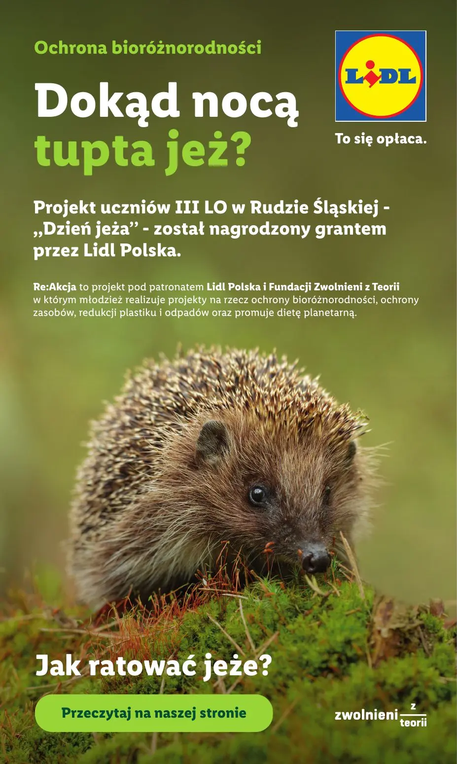 gazetka promocyjna LIDL Od poniedziałku - Strona 88