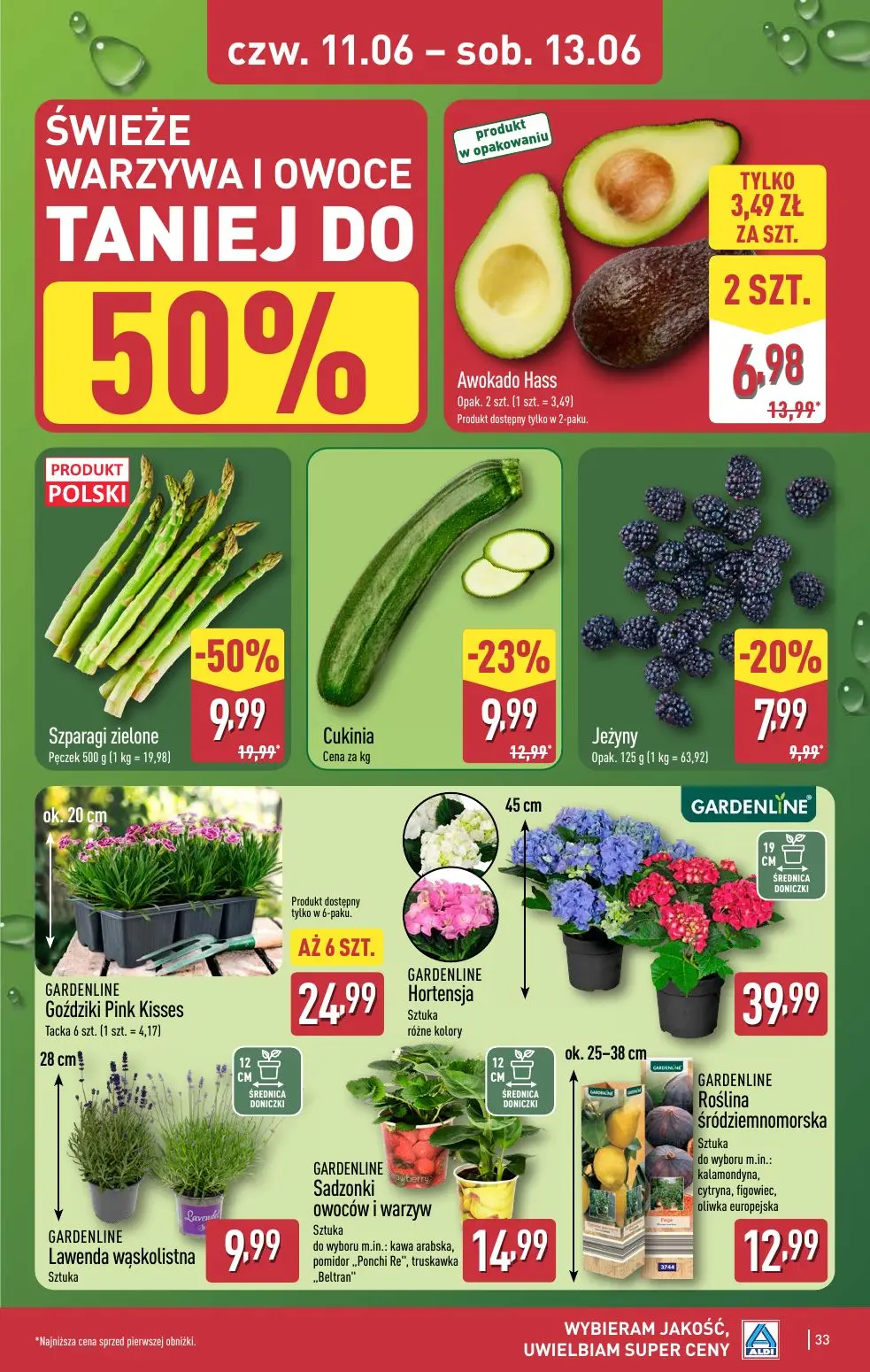 gazetka promocyjna ALDI Wybieram Aldi - Strona 33