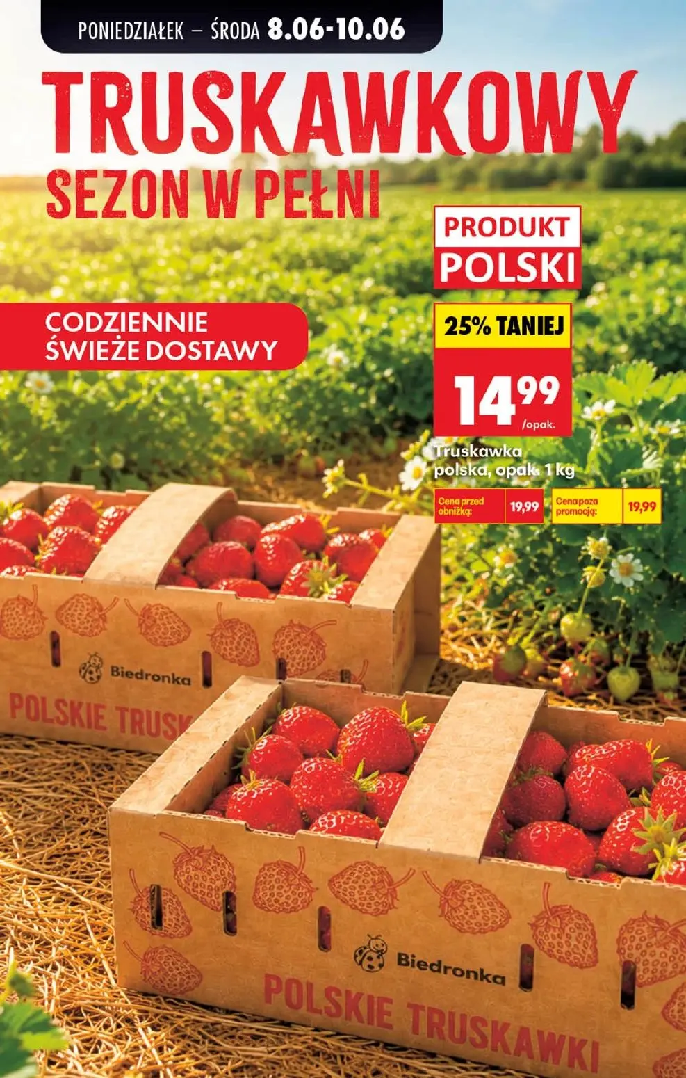 gazetka promocyjna Biedronka Lada tradycyjna. Od poniedziałku - Strona 87