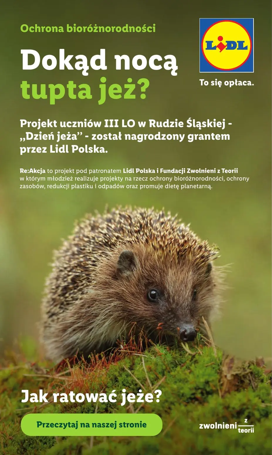 gazetka promocyjna LIDL Od czwartku - Strona 98