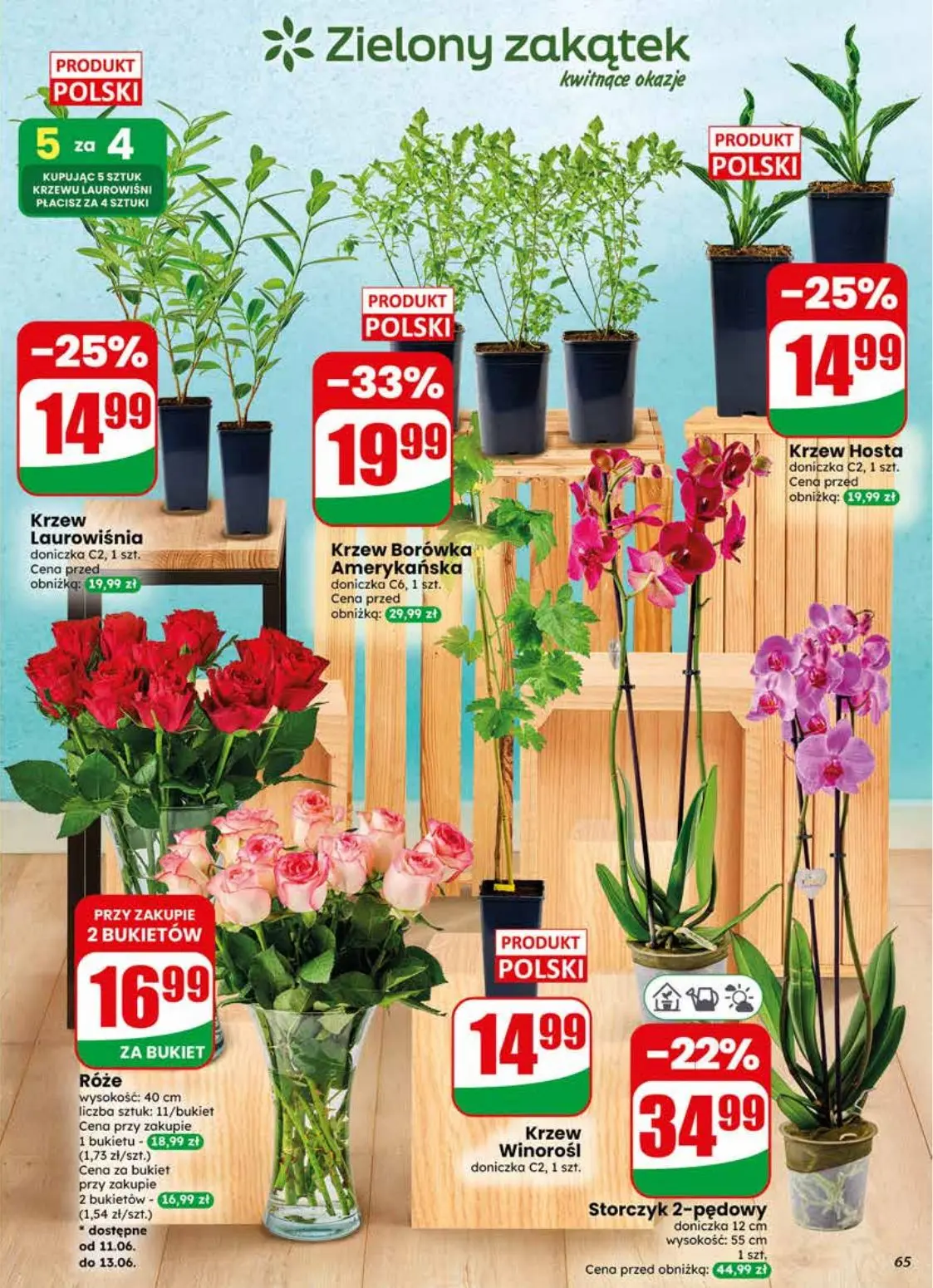 gazetka promocyjna dino Najbliżej Ciebie - Strona 65