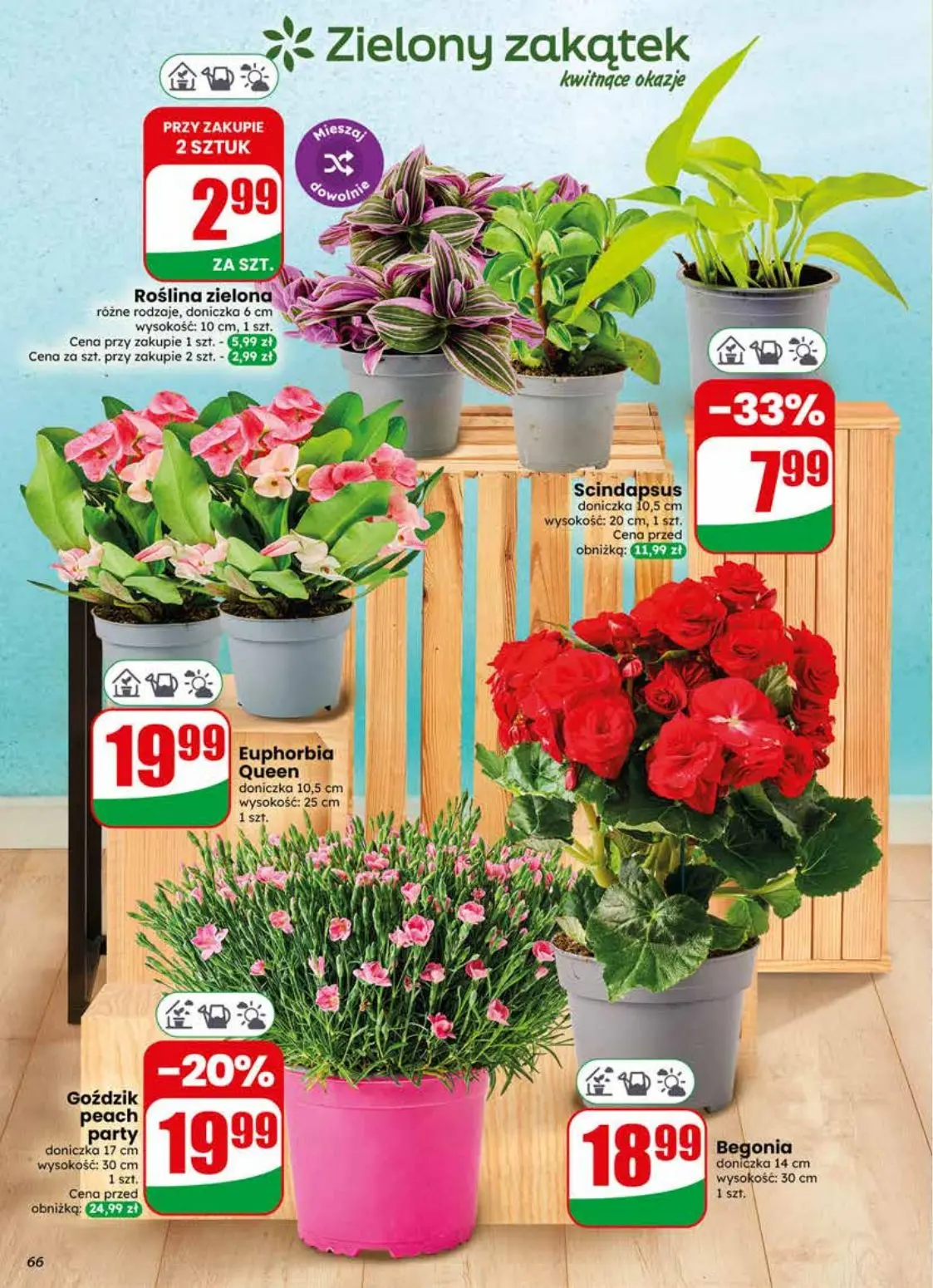gazetka promocyjna dino Najbliżej Ciebie - Strona 66