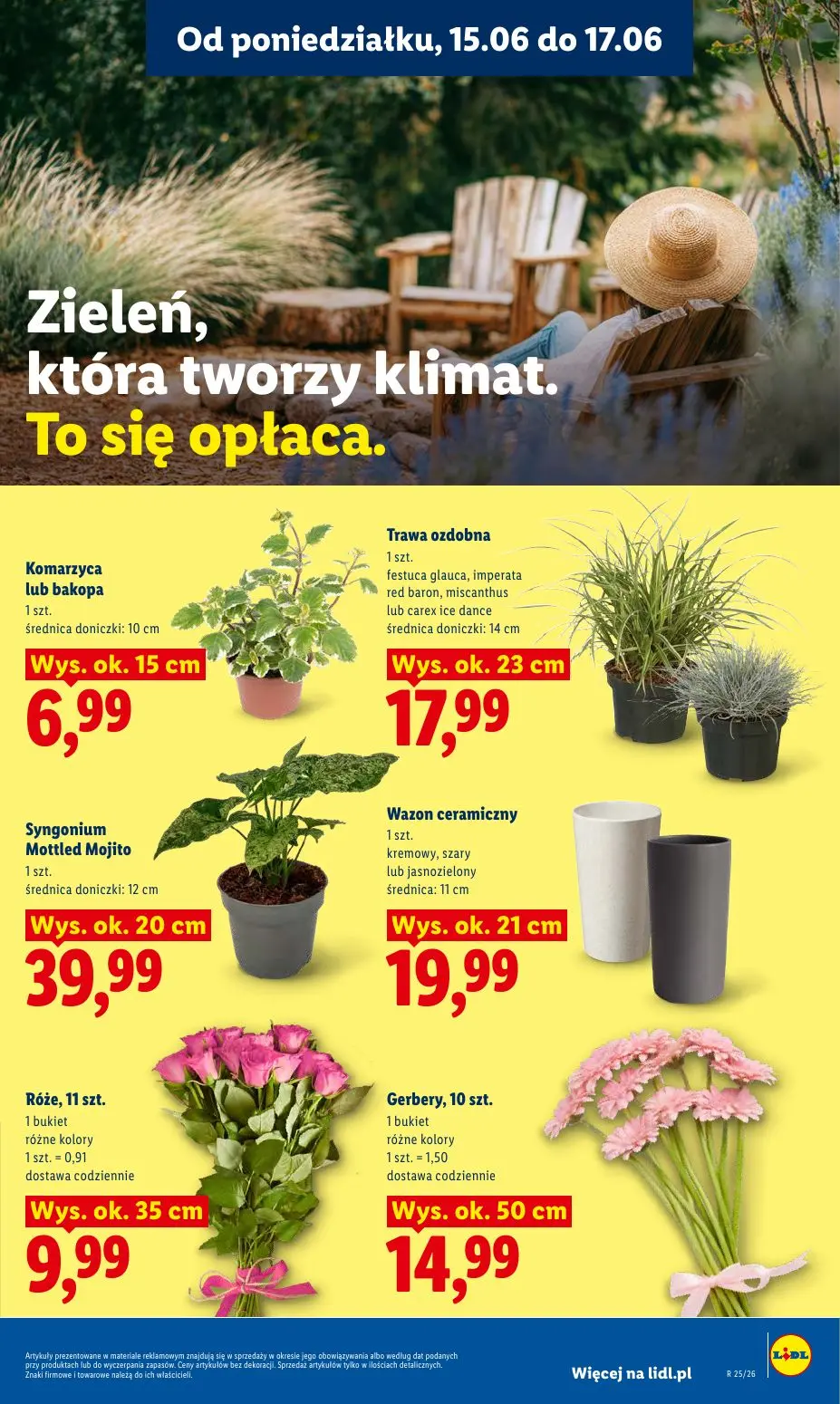 gazetka promocyjna LIDL Od poniedziałku - Strona 97