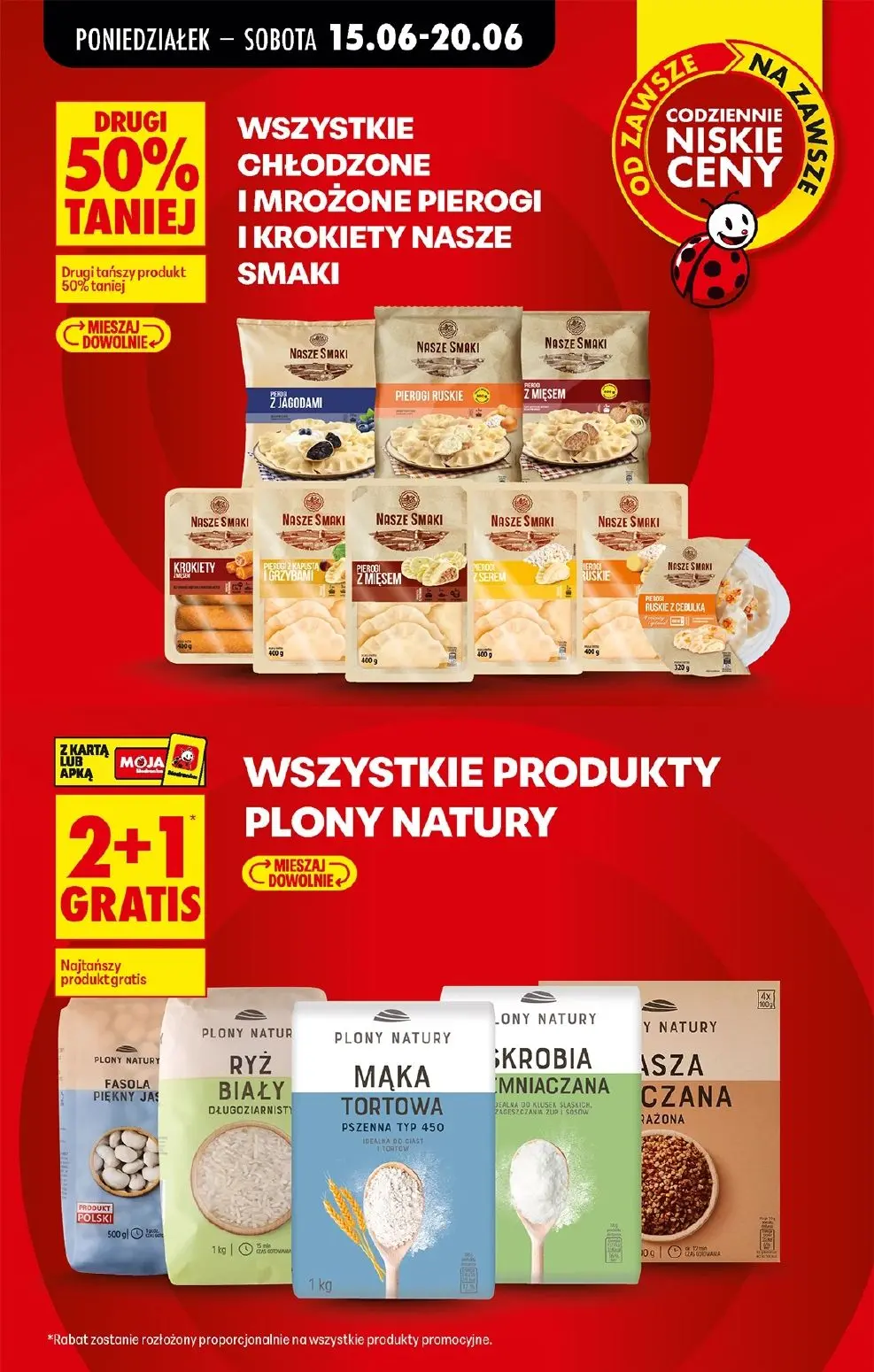 gazetka promocyjna Biedronka Od poniedziałku - Strona 13