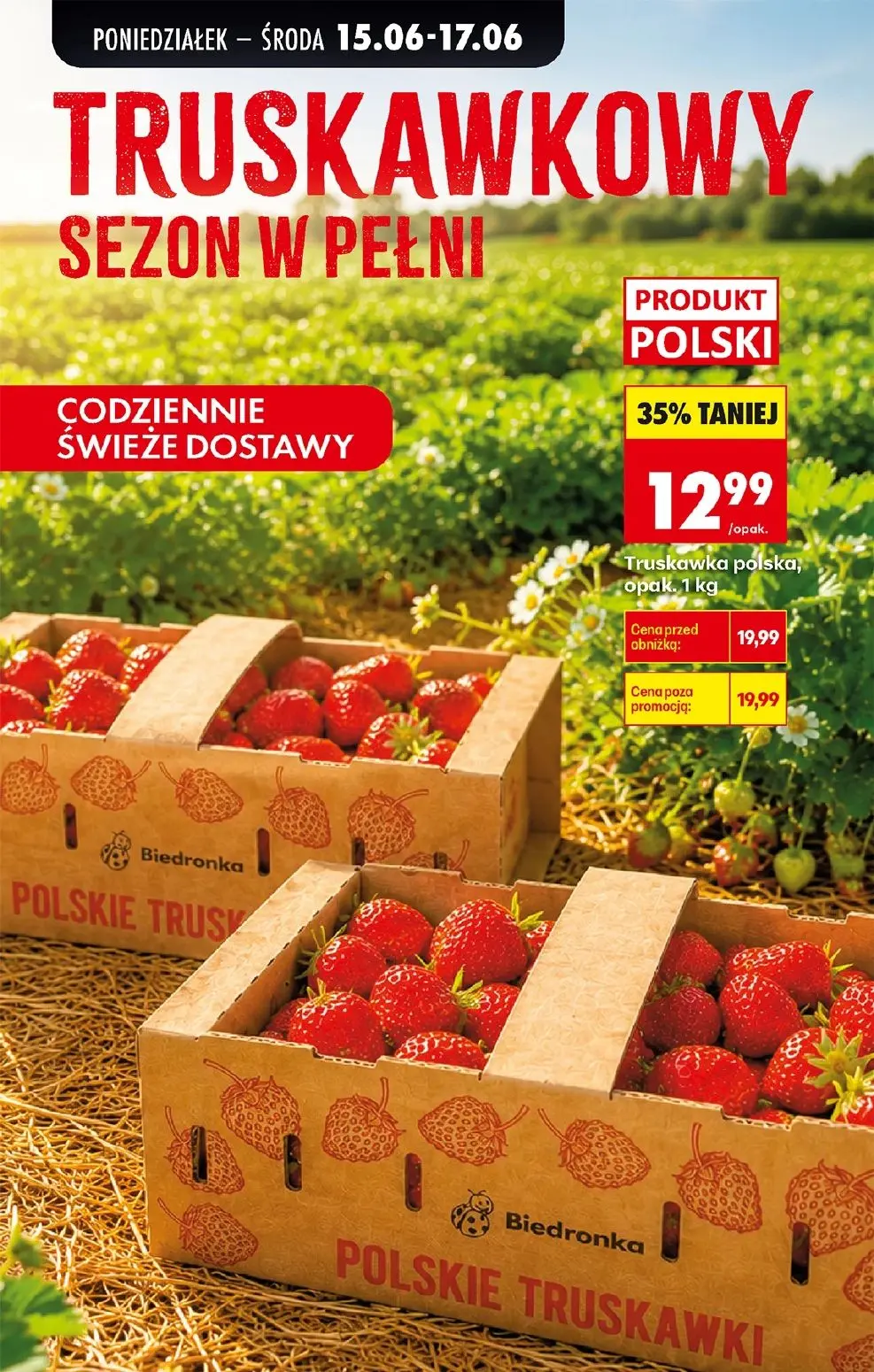 gazetka promocyjna Biedronka Lada tradycyjna. Od poniedziałku - Strona 31