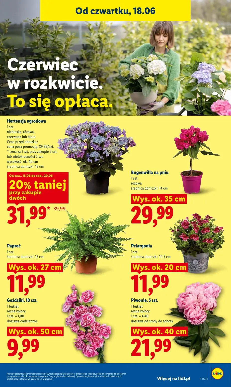 gazetka promocyjna LIDL Od czwartku - Strona 79