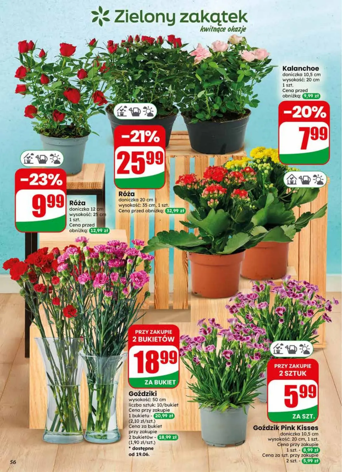 gazetka promocyjna dino Najbliżej Ciebie - Strona 56