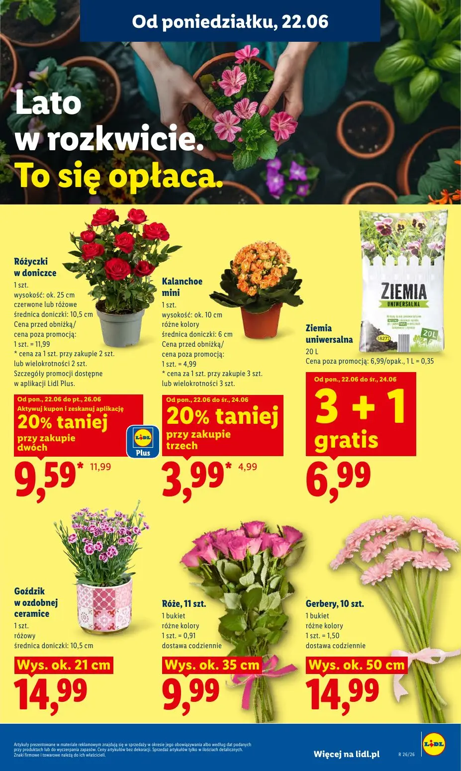 gazetka promocyjna LIDL Od poniedziałku - Strona 87