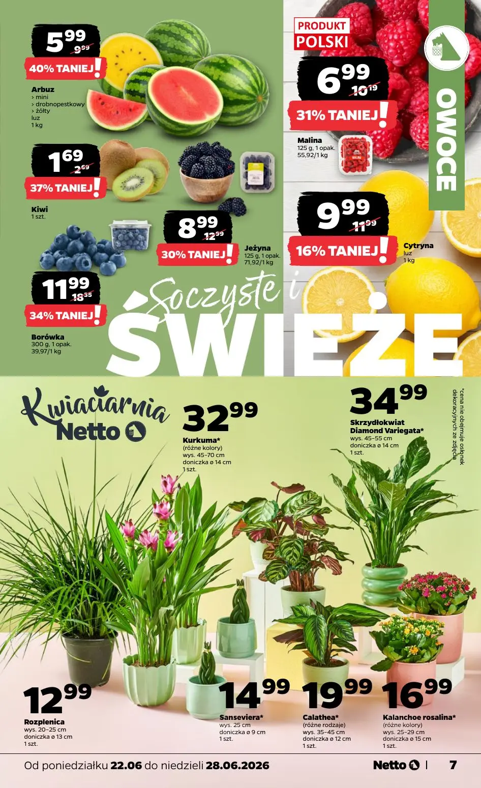 gazetka promocyjna NETTO Od poniedziałku - Strona 7