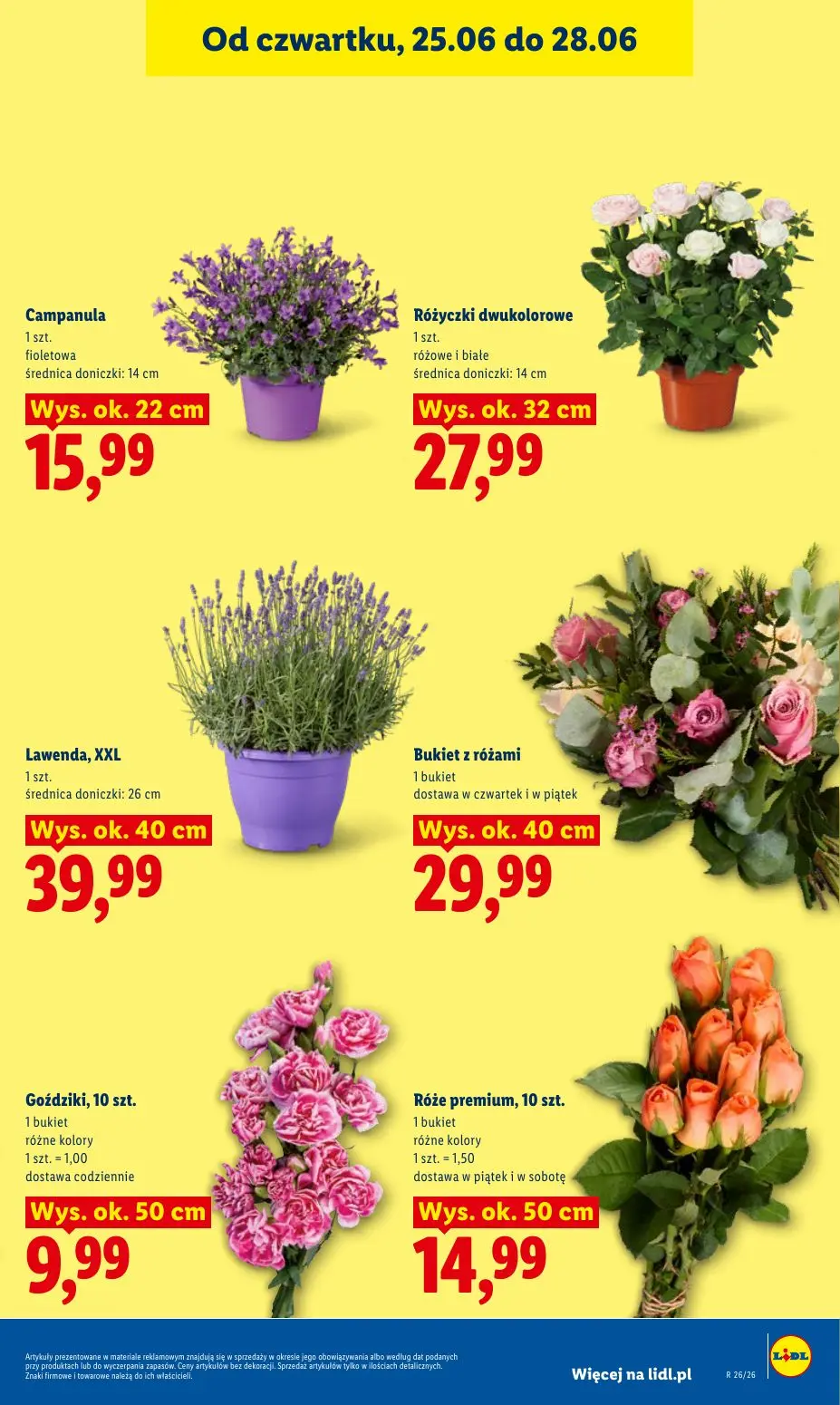 gazetka promocyjna LIDL Od czwartku - Strona 41