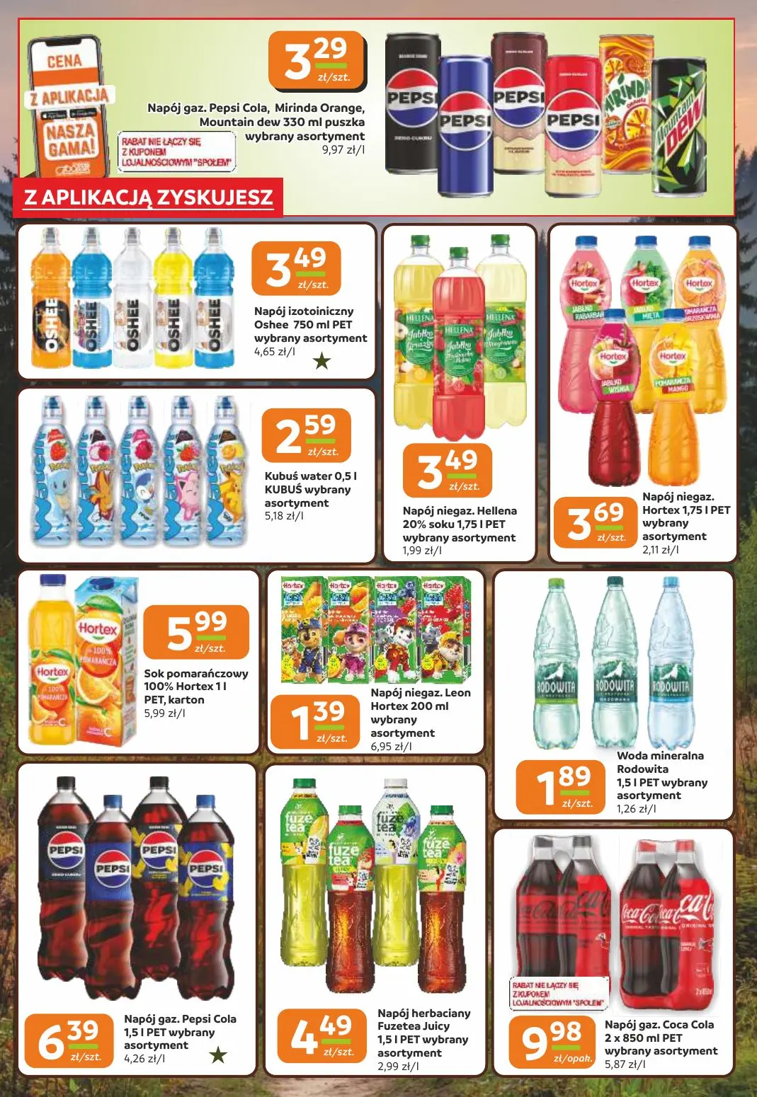 gazetka promocyjna Społem Częstochowa  - Strona 13