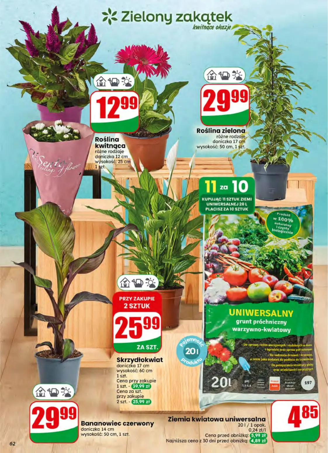 gazetka promocyjna dino Najbliżej Ciebie - Strona 62