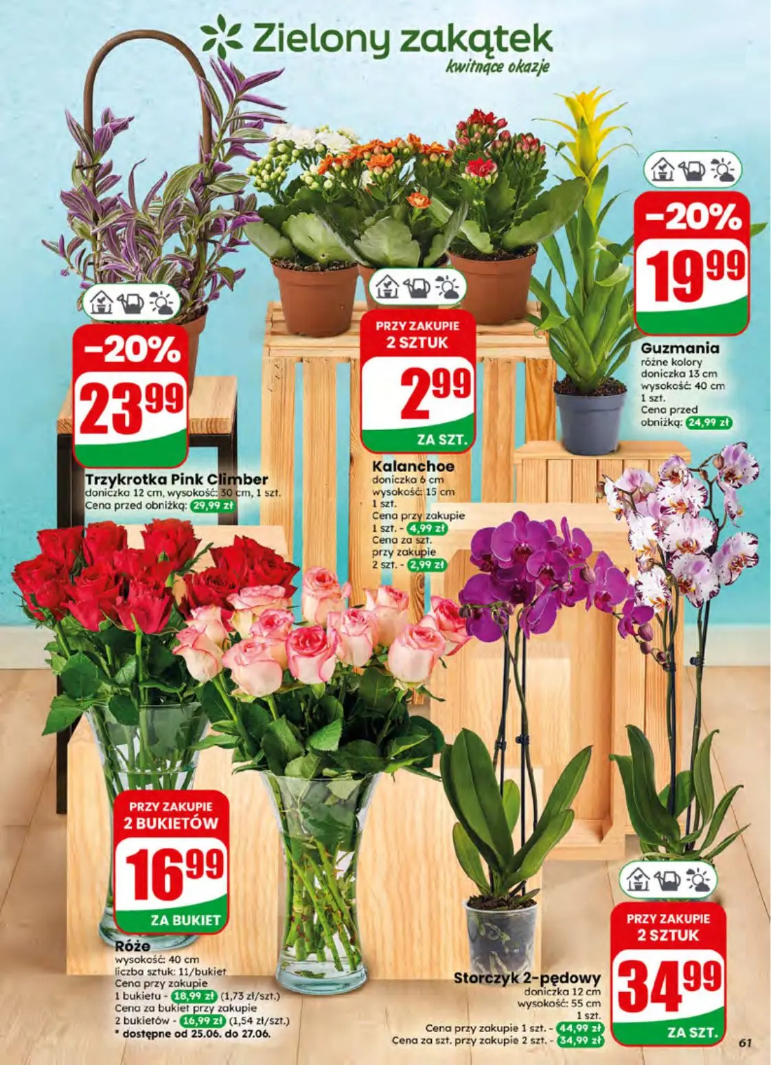gazetka promocyjna dino Najbliżej Ciebie - Strona 61