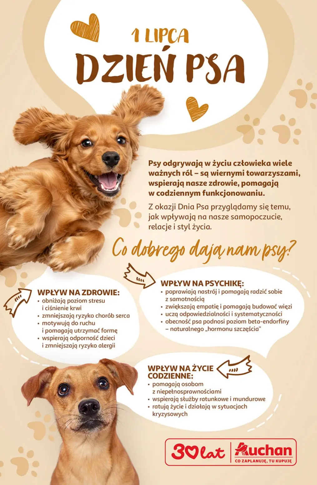 gazetka promocyjna Auchan Oszczędni doceniają wielki wybór  - Strona 44