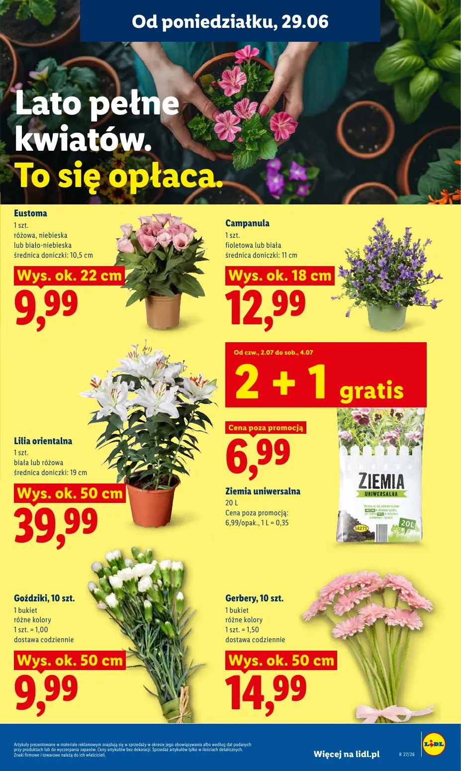 gazetka promocyjna LIDL Od poniedziałku - Strona 83