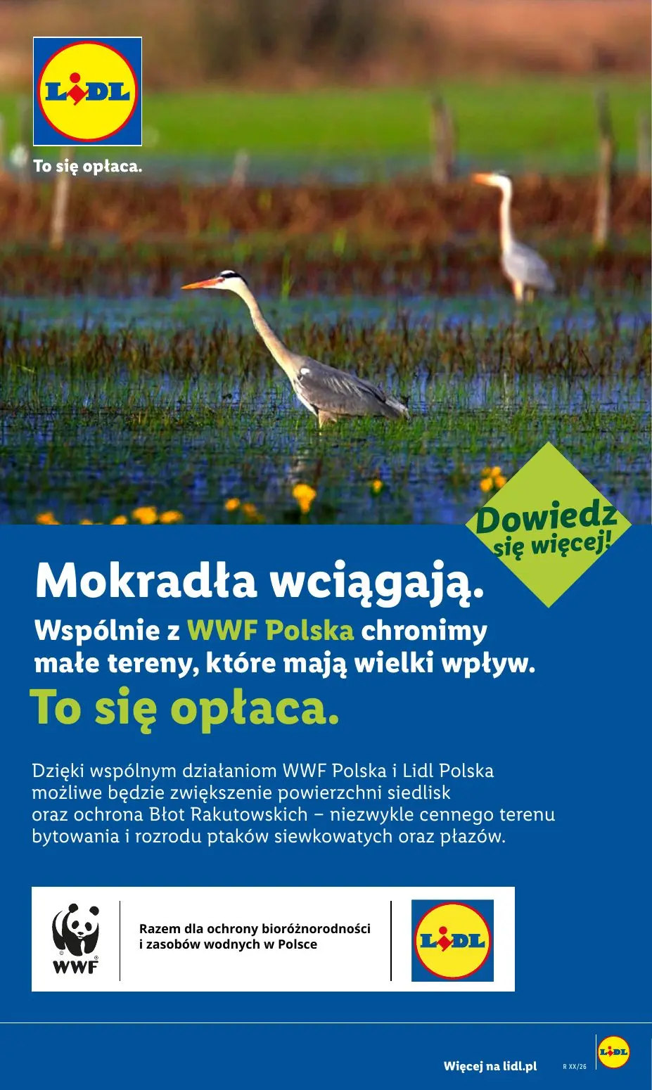 gazetka promocyjna LIDL Od poniedziałku - Strona 84