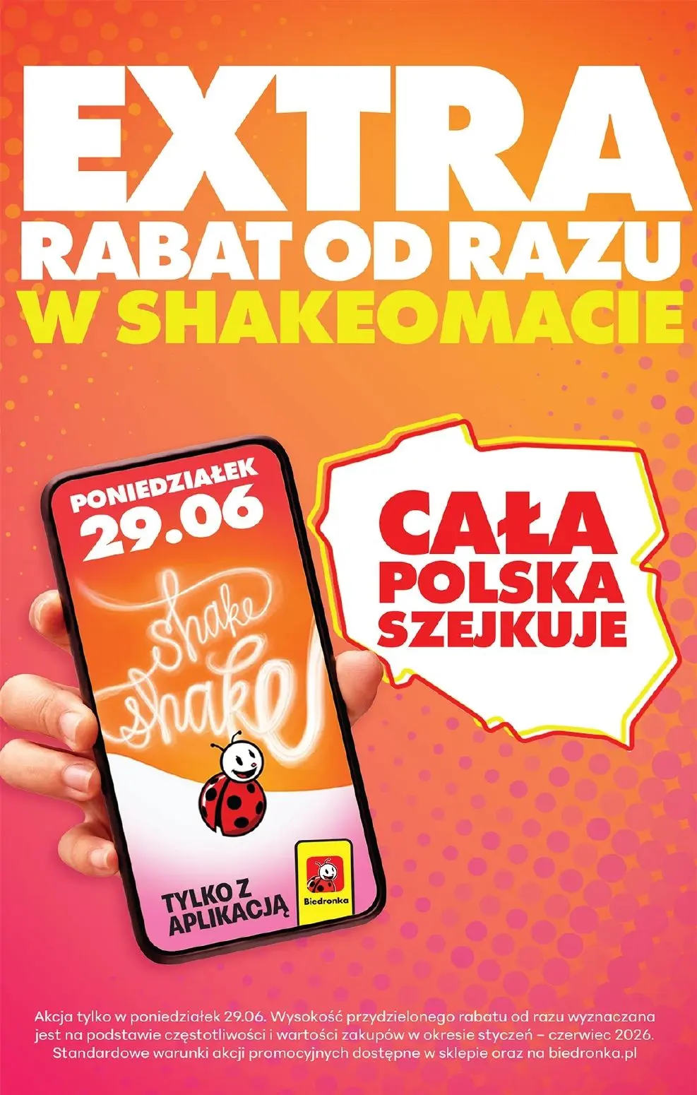 gazetka promocyjna Biedronka Lada tradycyjna. Od poniedziałku - Strona 19