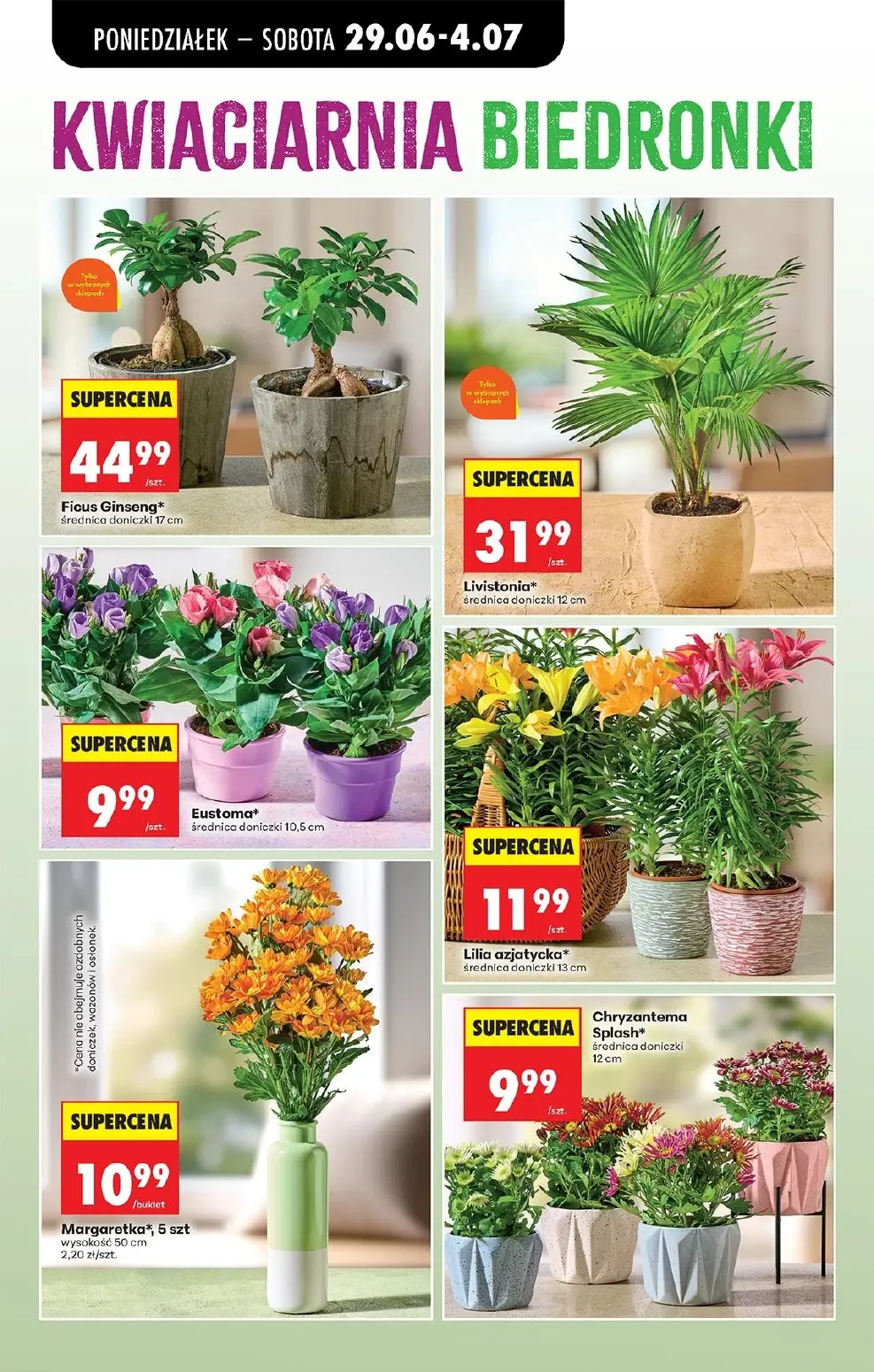 gazetka promocyjna Biedronka Lada tradycyjna. Od poniedziałku - Strona 32