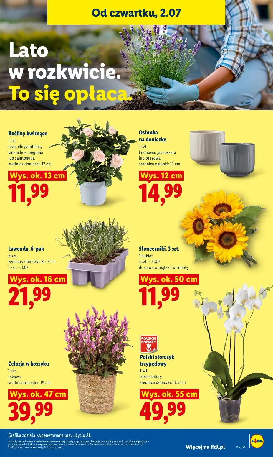 gazetka promocyjna LIDL Od czwartku - Strona 81