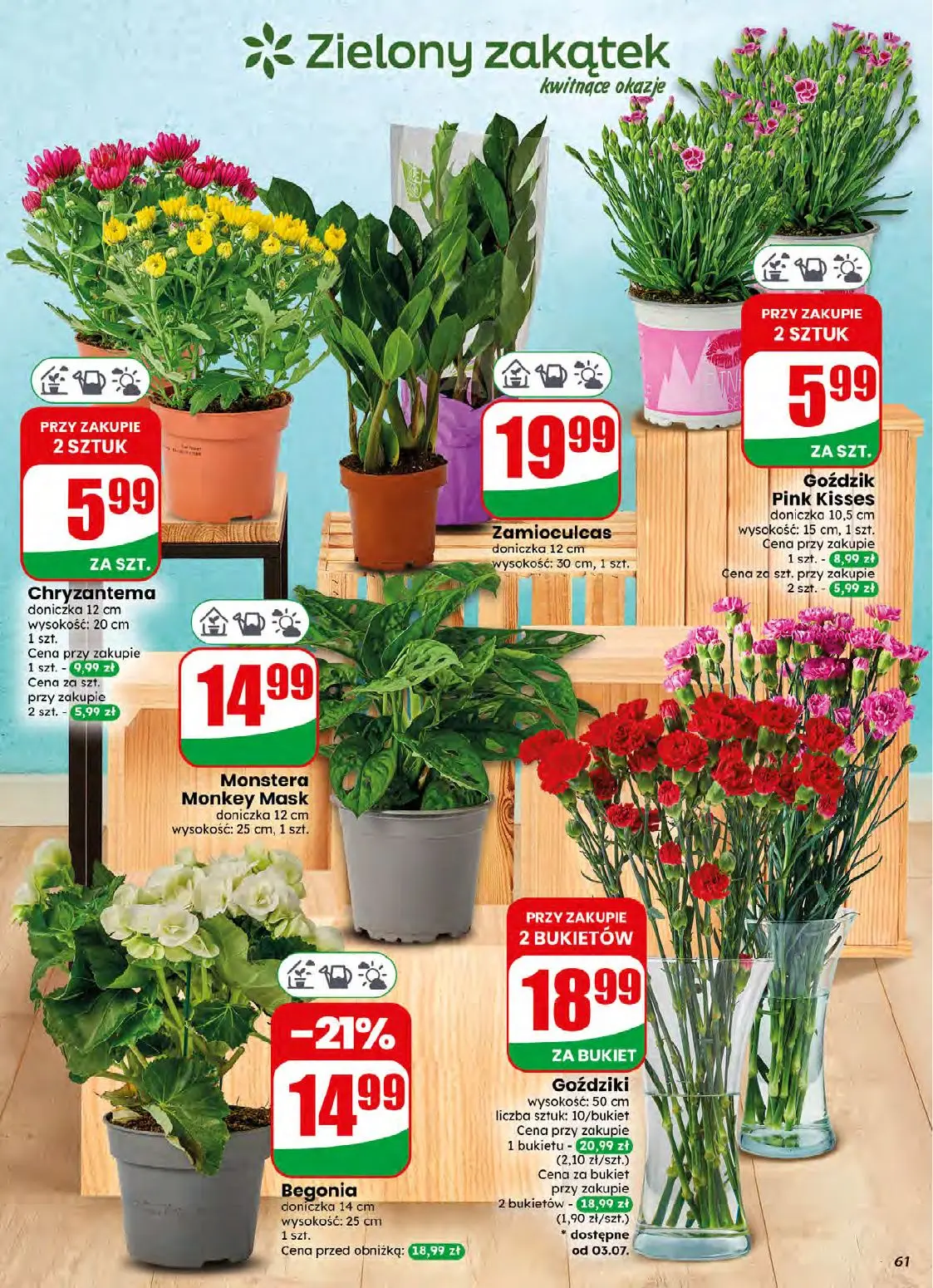 gazetka promocyjna dino Najbliżej Ciebie - Strona 61