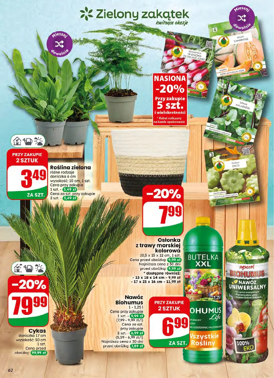 gazetka promocyjna dino Najbliżej Ciebie - Strona 62