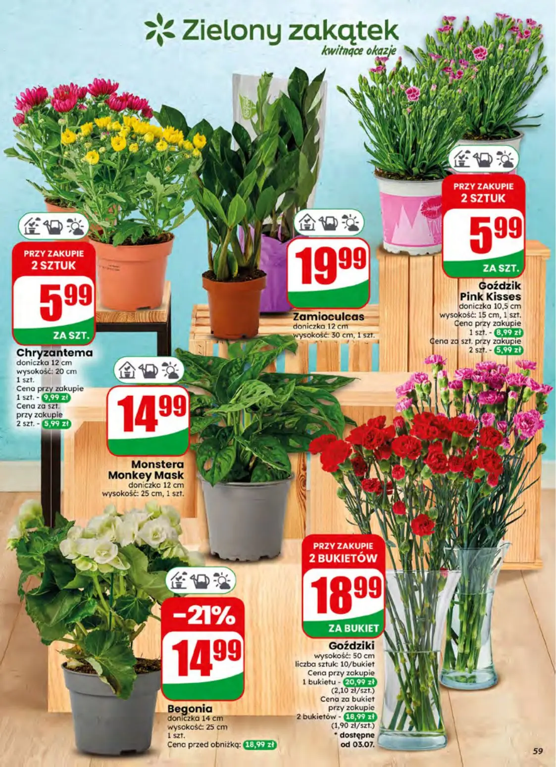 gazetka promocyjna dino Najbliżej Ciebie - Strona 59