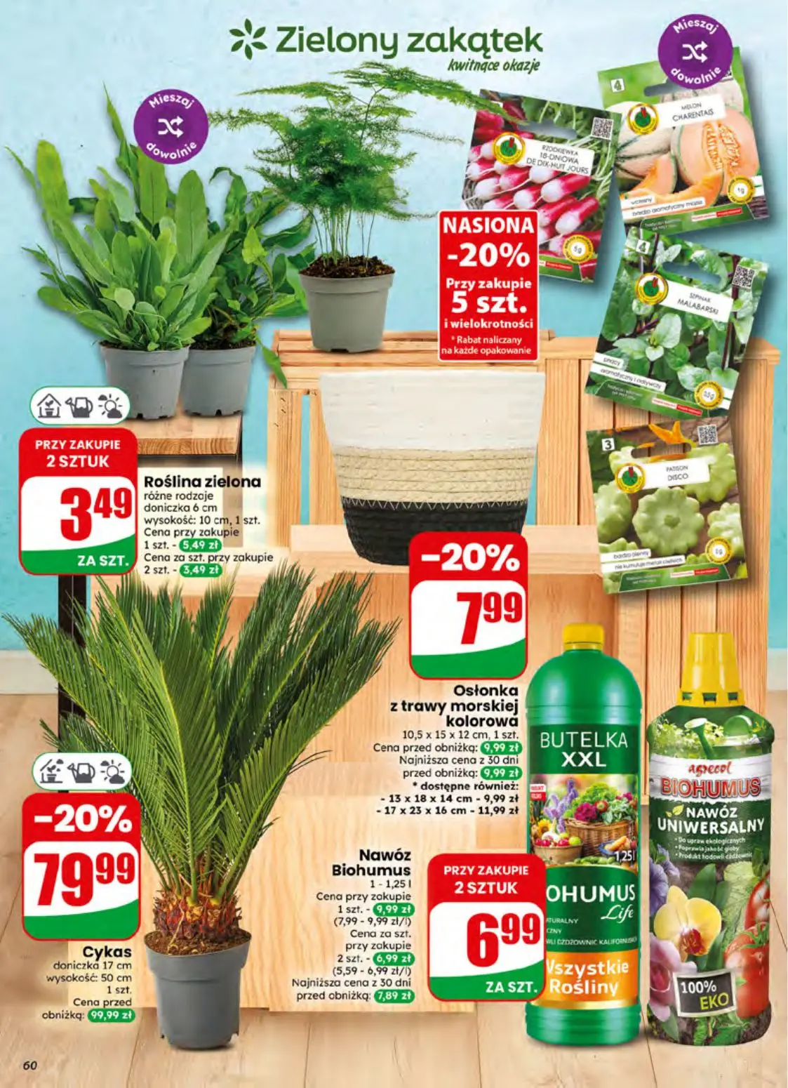 gazetka promocyjna dino Najbliżej Ciebie - Strona 60