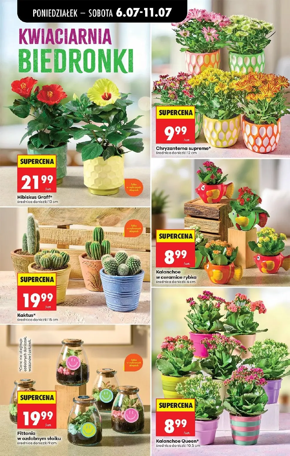 gazetka promocyjna Biedronka Lada tradycyjna. Od poniedziałku - Strona 23