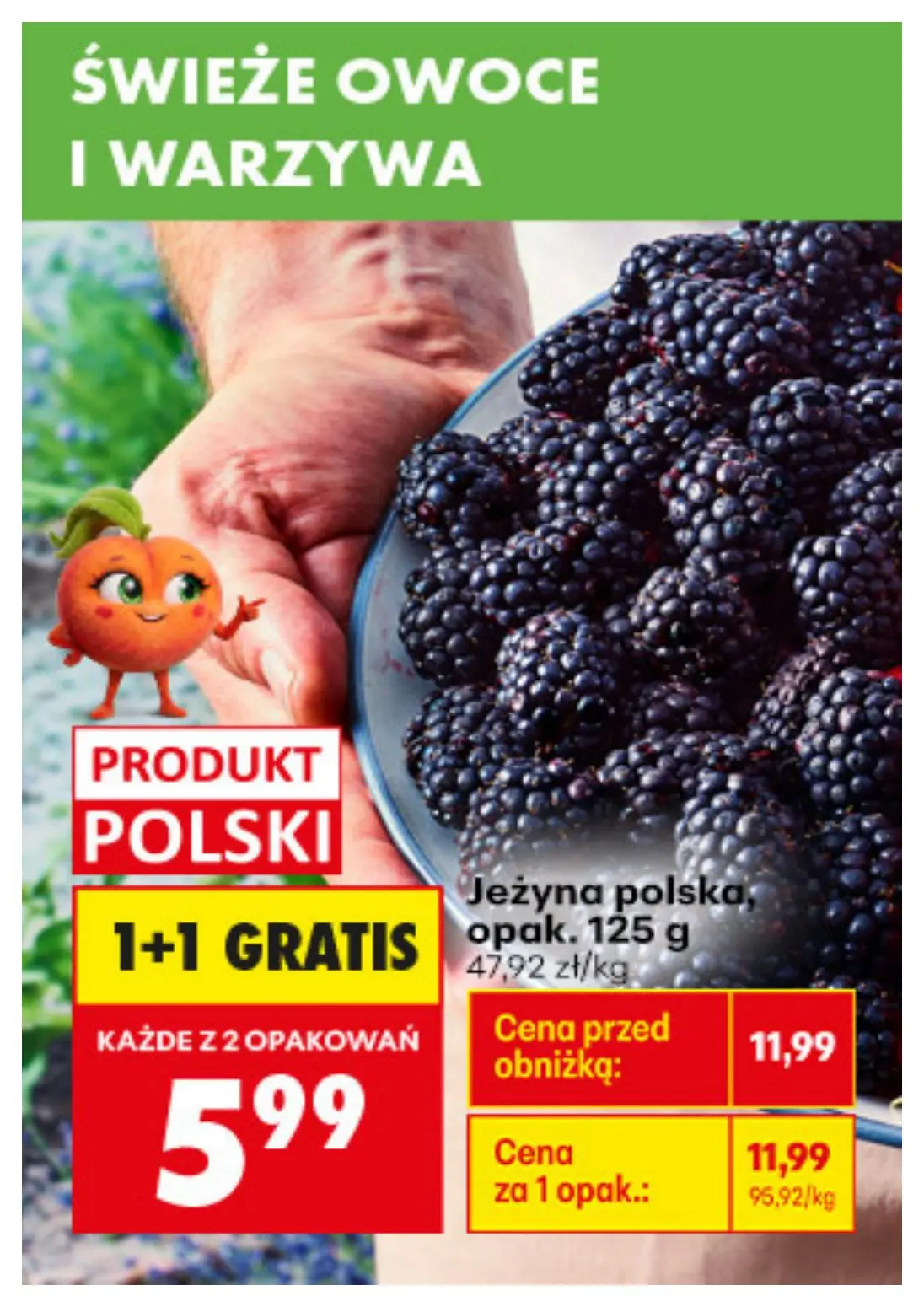 gazetka promocyjna Biedronka Biedronkowe oszczędności - Strona 15