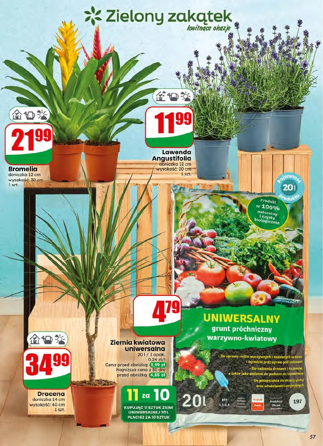 gazetka promocyjna dino Najbliżej Ciebie - Strona 57