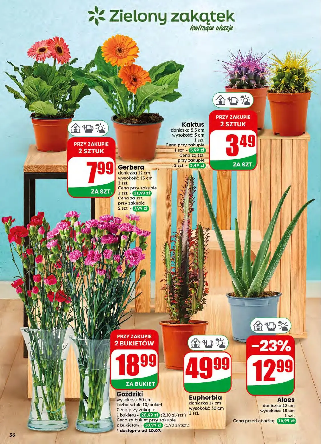 gazetka promocyjna dino Najbliżej Ciebie - Strona 56