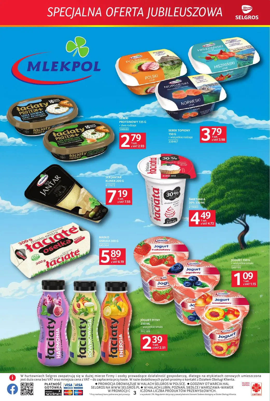 gazetka promocyjna SELGROS Specjalna Oferta Jubileuszowa - Strona 3