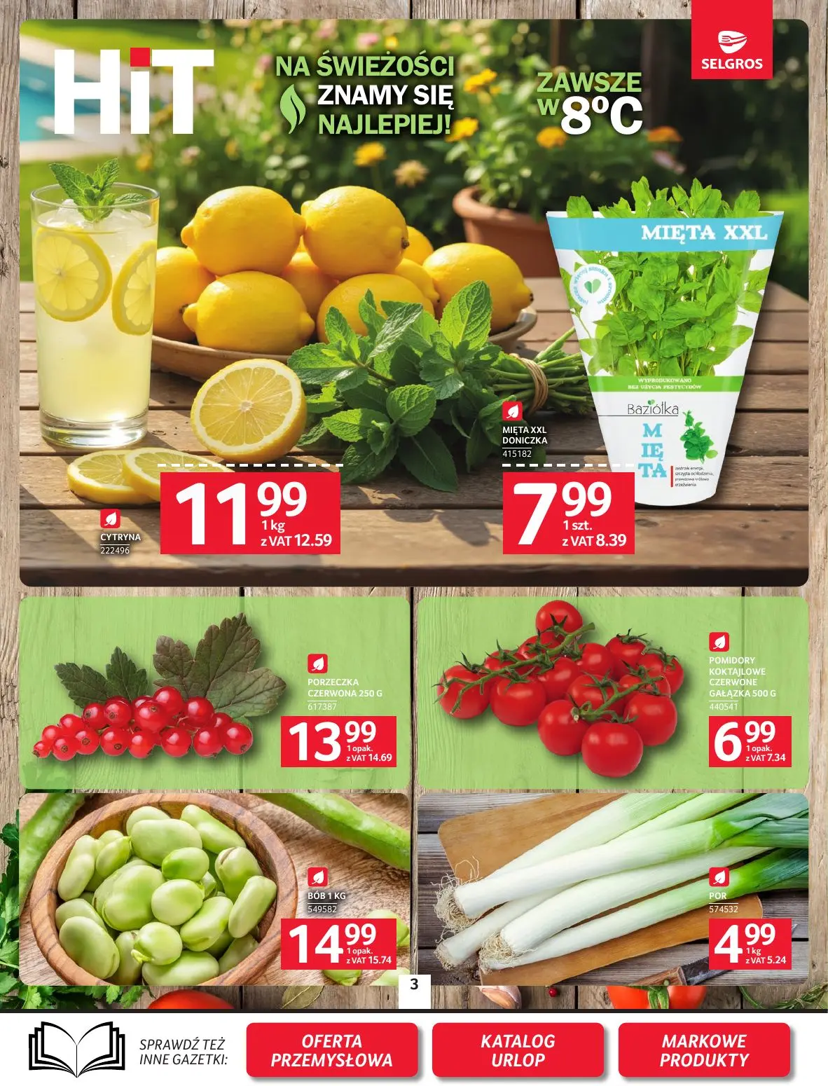 gazetka promocyjna SELGROS Oferta spożywcza - Strona 3