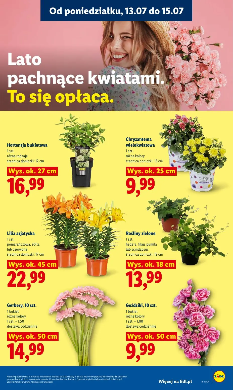 gazetka promocyjna LIDL Od poniedziałku - Strona 87
