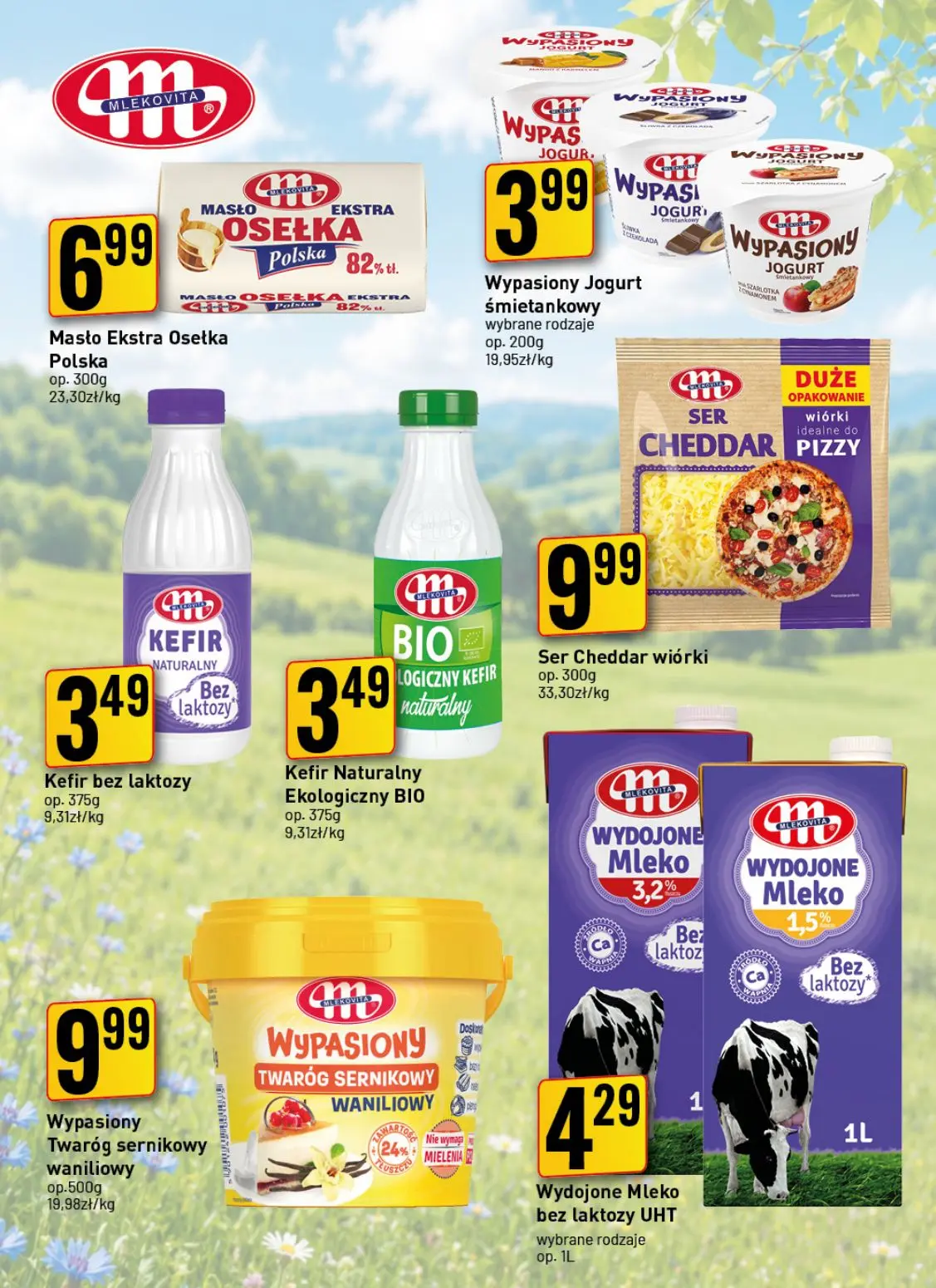 gazetka promocyjna Jan Ogólna - Strona 5