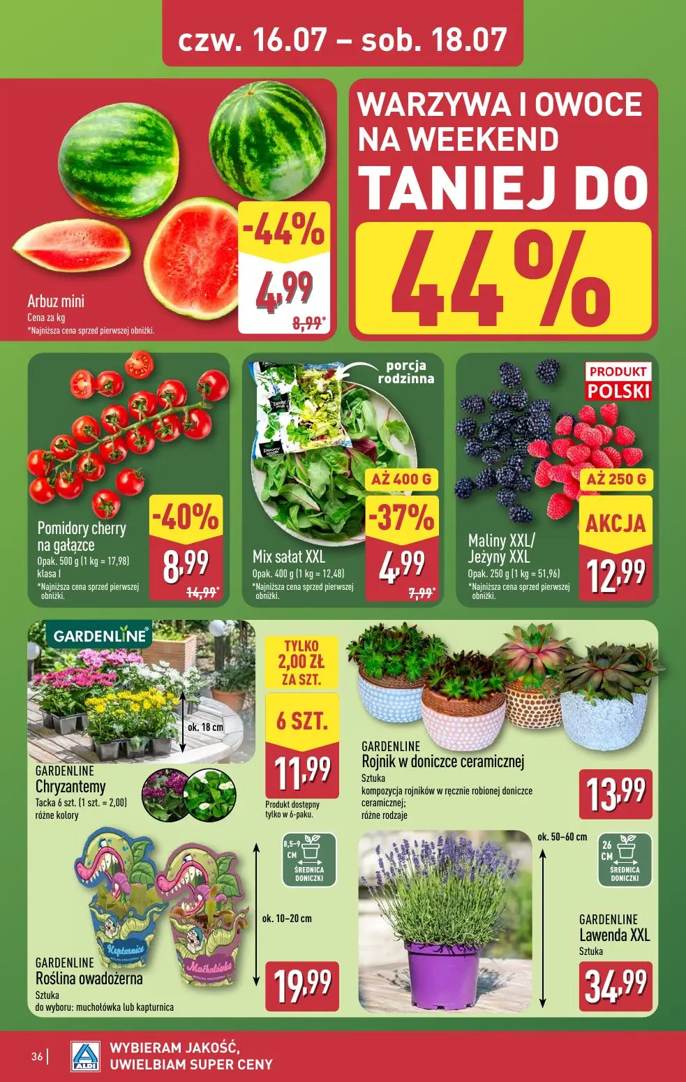 gazetka promocyjna ALDI Wybieram ALDI - Strona 36