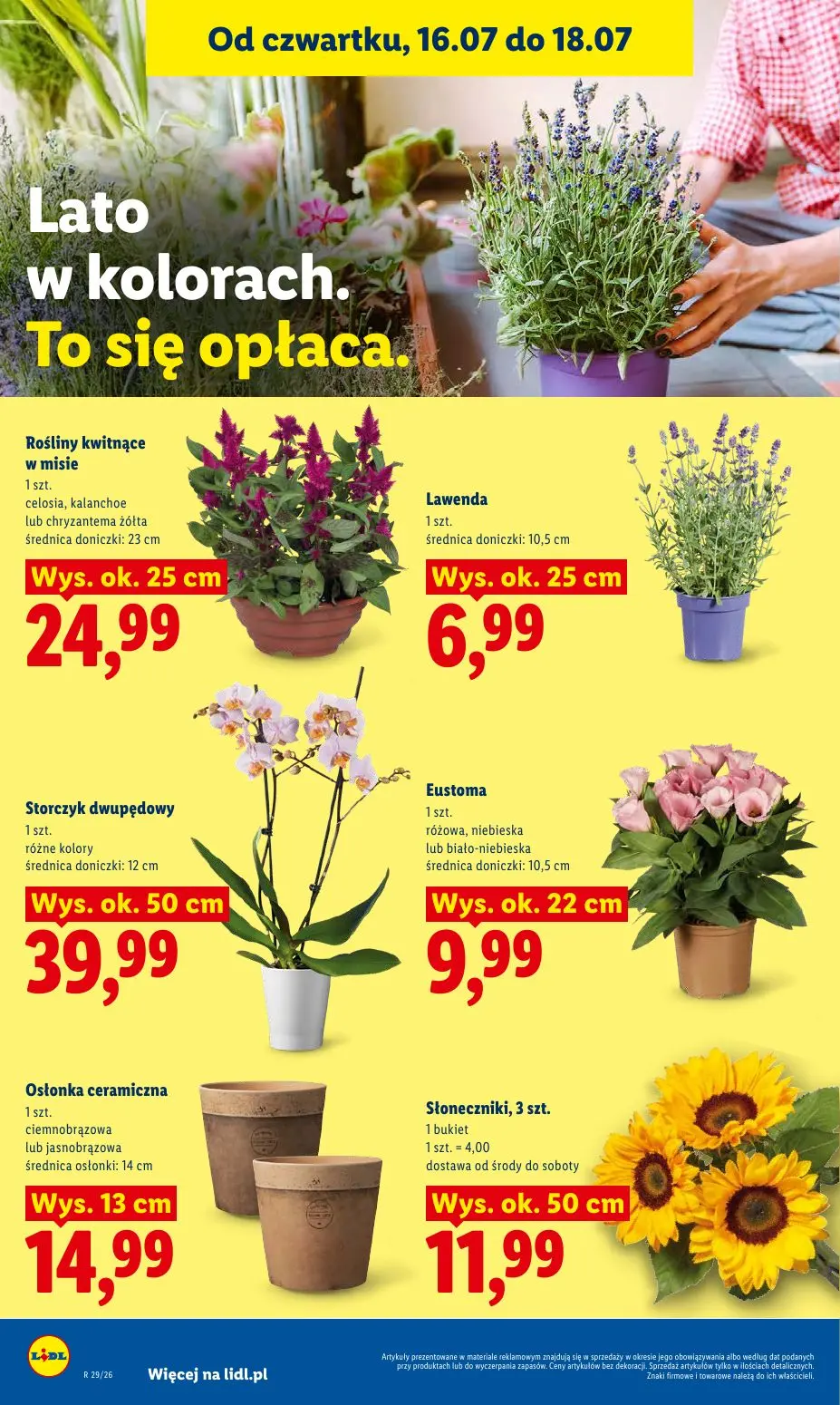 gazetka promocyjna LIDL Od czwartku - Strona 94