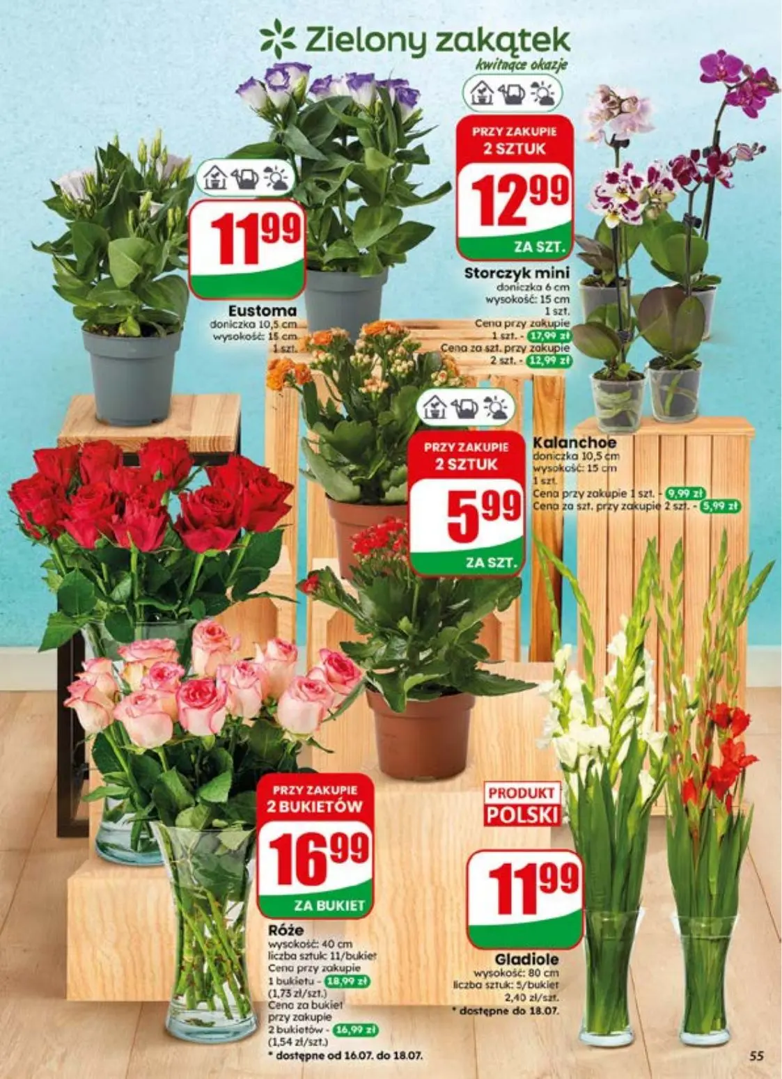 gazetka promocyjna dino Najbliżej Ciebie - Strona 55
