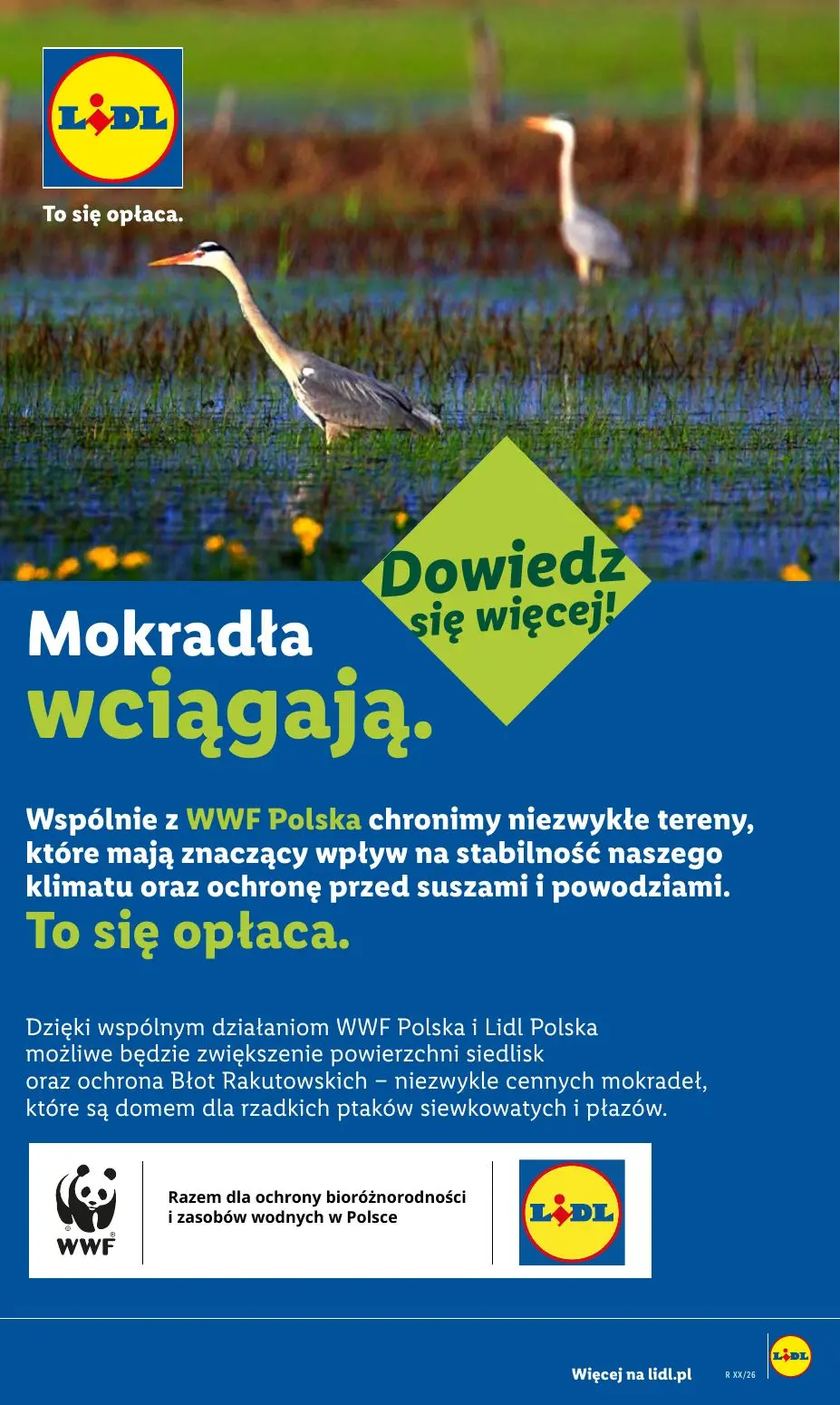 gazetka promocyjna LIDL Od poniedziałku - Strona 101