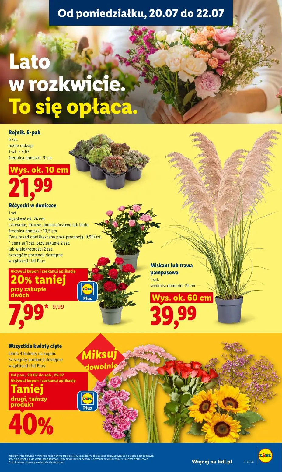 gazetka promocyjna LIDL Od poniedziałku - Strona 99