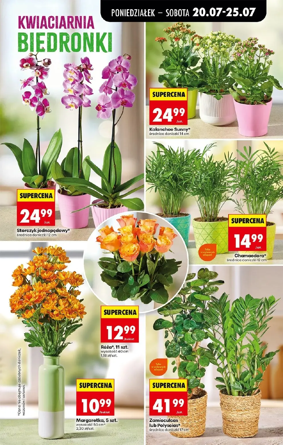 gazetka promocyjna Biedronka Lada tradycyjna. Od poniedziałku - Strona 83