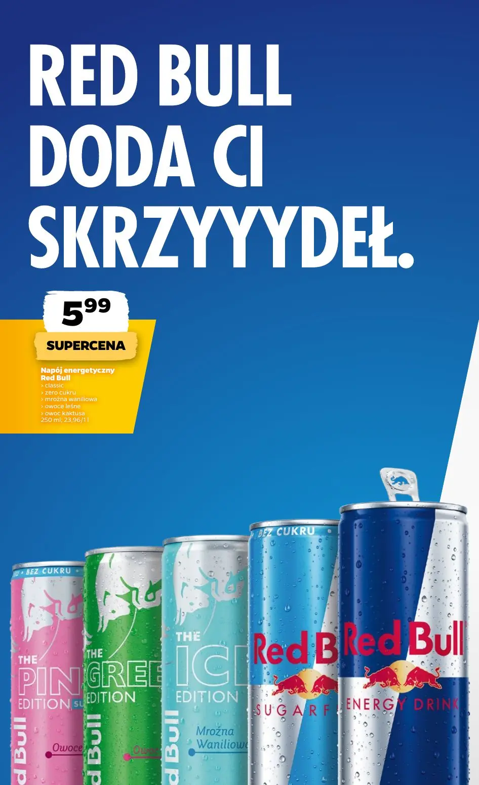 gazetka promocyjna NETTO Gazetka spożywcza - Strona 17