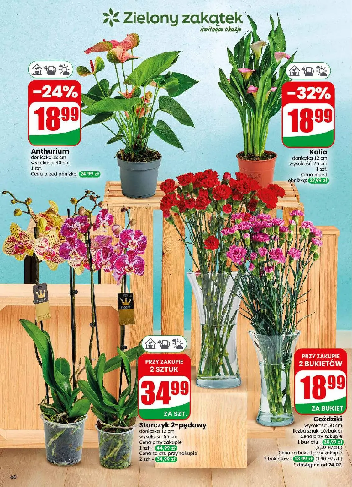 gazetka promocyjna dino Najbliżej Ciebie - Strona 60