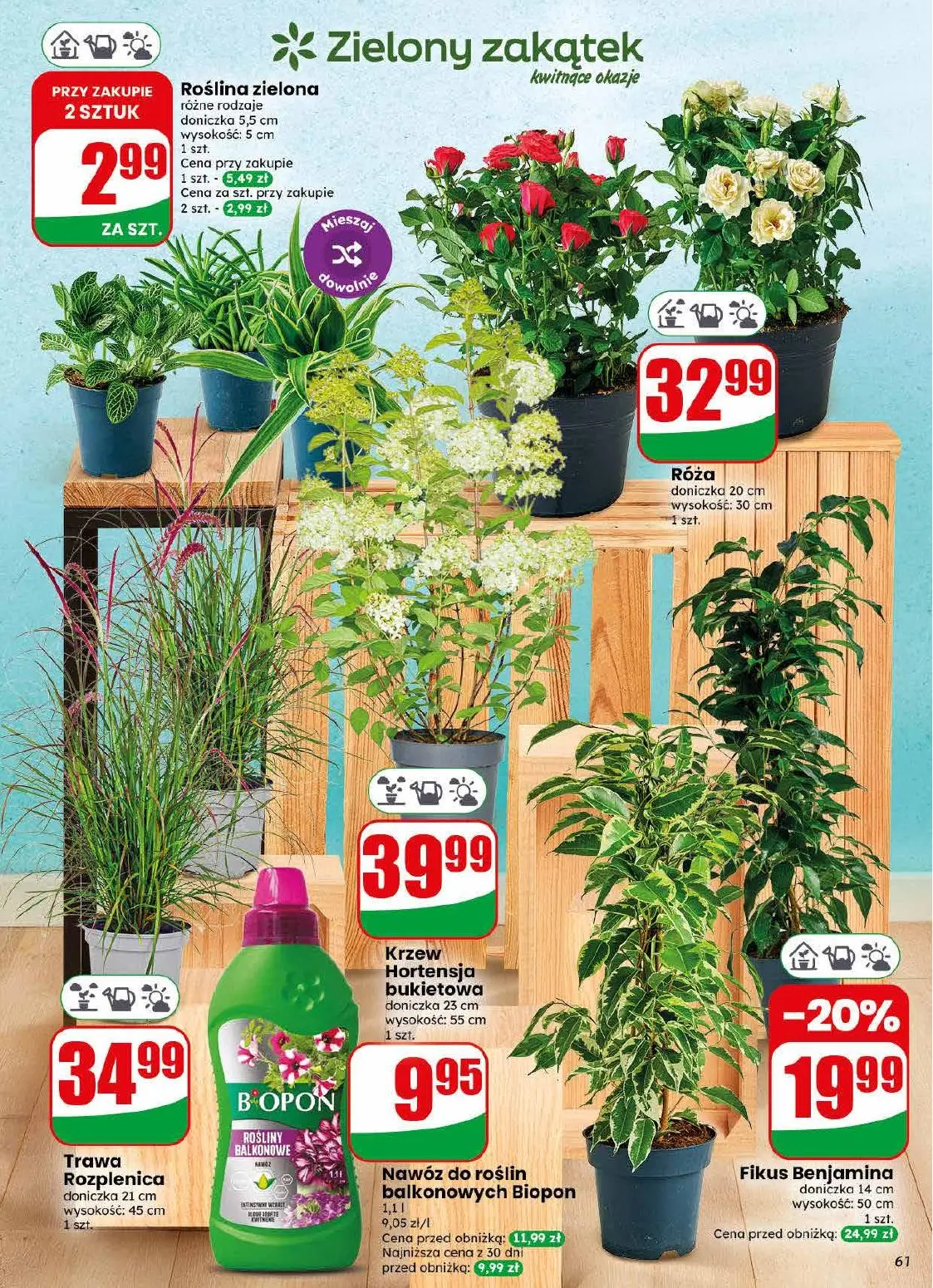 gazetka promocyjna dino Najbliżej Ciebie - Strona 61